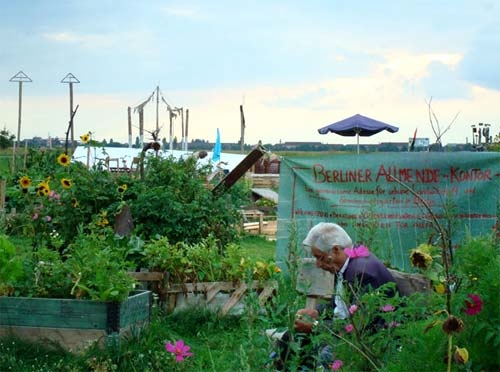 Urbaner Acker, Stadtgarten, Allmende