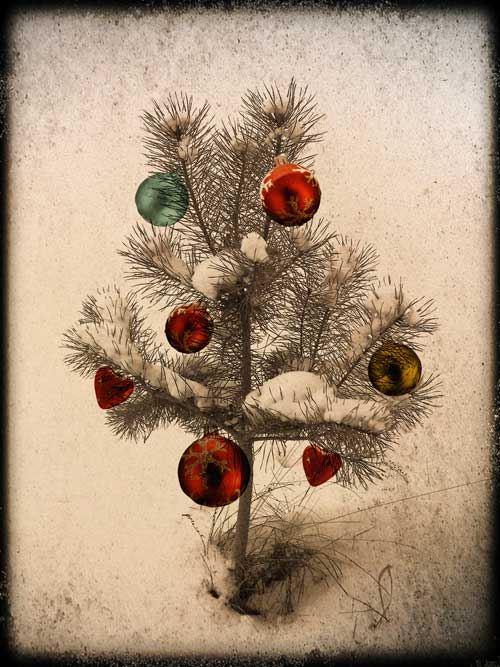 Ökologisch korrekter Weihnachtsbaum