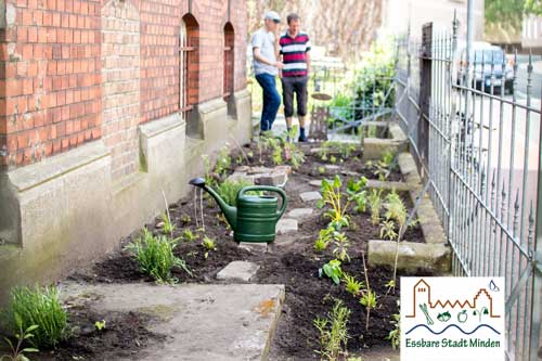 Blumenkohl im Vorgarten? Die essbare Stadt Minden