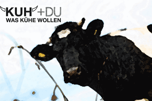 Kampagne für artgerechte Tierhaltung von Milchkühen: Kuh+Du