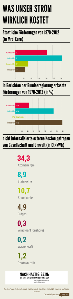 Infografik: Die wahren Stromkosten in Deutschland