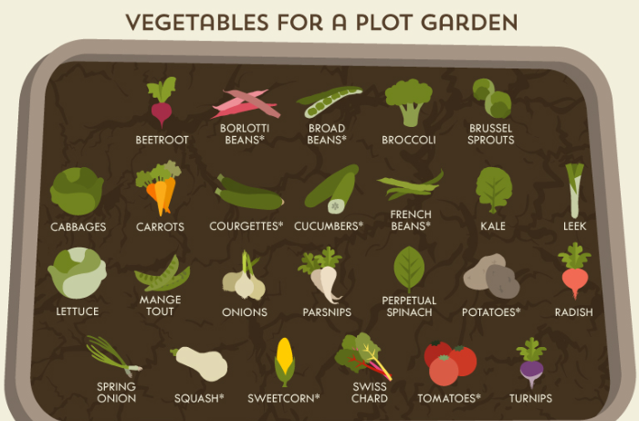 Infografik: A Gardener´s Cheat Sheet