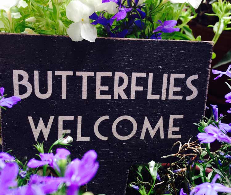 Welcome Butterflies! Vertikalen Stadtgarten selbst bauen