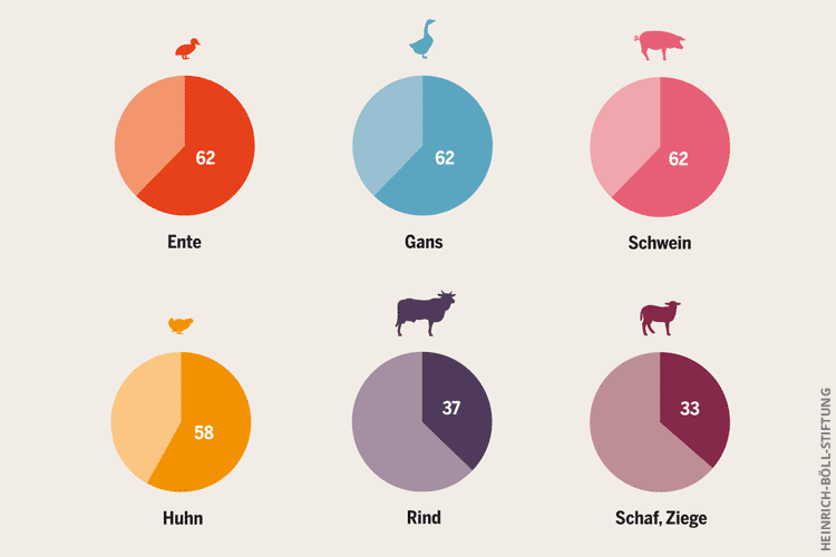 Wieso sollte ich vegan leben? 7 gute Gründe