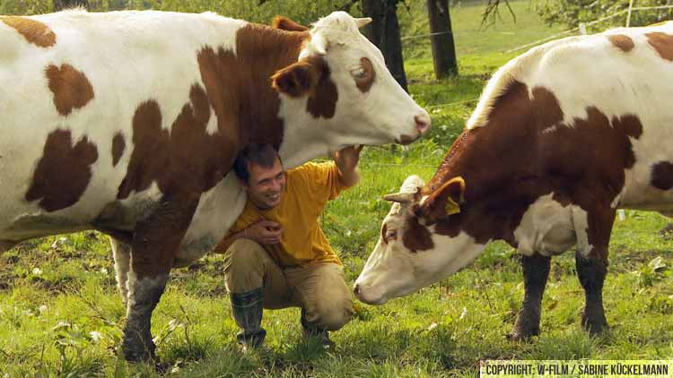 kinotipp_im_namen_der_tiere_02 Kinotipp: Im Namen der Tiere