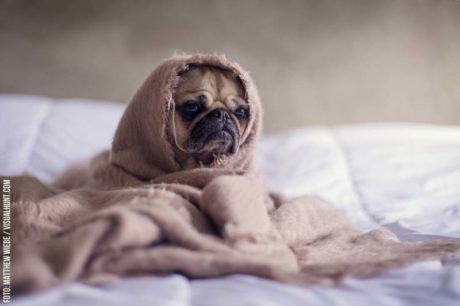 #byebyeschweinehund – Tipps für's aktiv werden