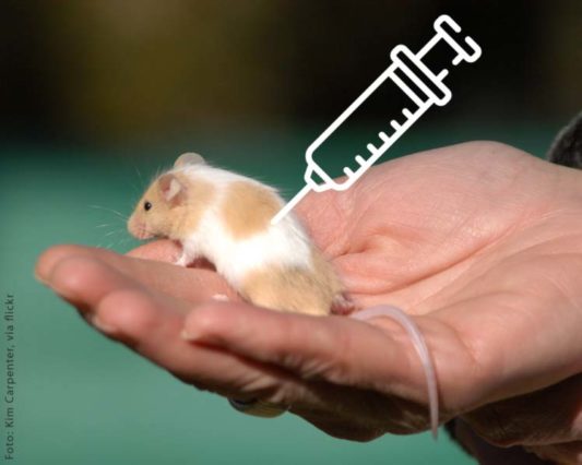 Ausstieg aus dem Tierversuch in Deutschland – warum?
