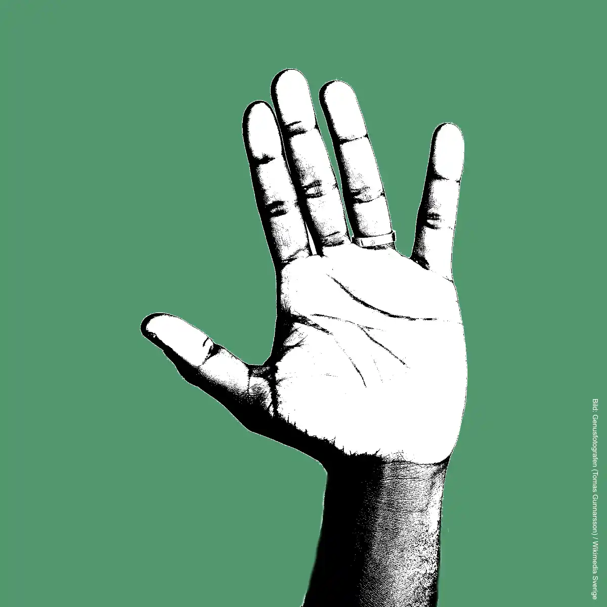 Handabdruck vergrößern – erhobene Hand vor grünem Hintergrund
