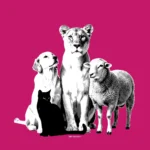 Die ewigen Machtspiele und Streitereien im Team nerven dich? Erfahre, wie du Gruppendynamiken erkennst, Konflikte mutig angehst und die Gemeinschaft wieder zusammenwachsen kann. Ein Hund, eine Löwe, ein Schaf und eine Katze.