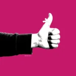 Die ewigen Machtspiele und Streitereien im Team nerven dich? Erfahre, wie du Gruppendynamiken erkennst, Konflikte mutig angehst und die Gemeinschaft wieder zusammenwachsen kann. Ein Hund, eine Löwe, ein Schaf und eine Katze.