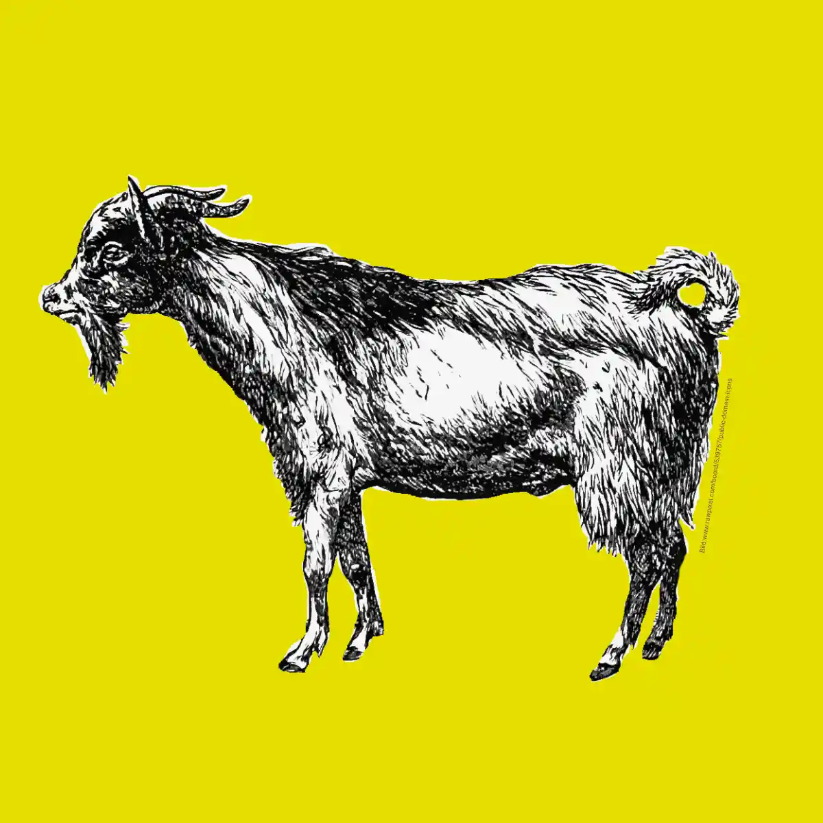 Stur wie ein Ziegenbock? Wir brauchen mehr renitente Menschen in diesen Zeiten!